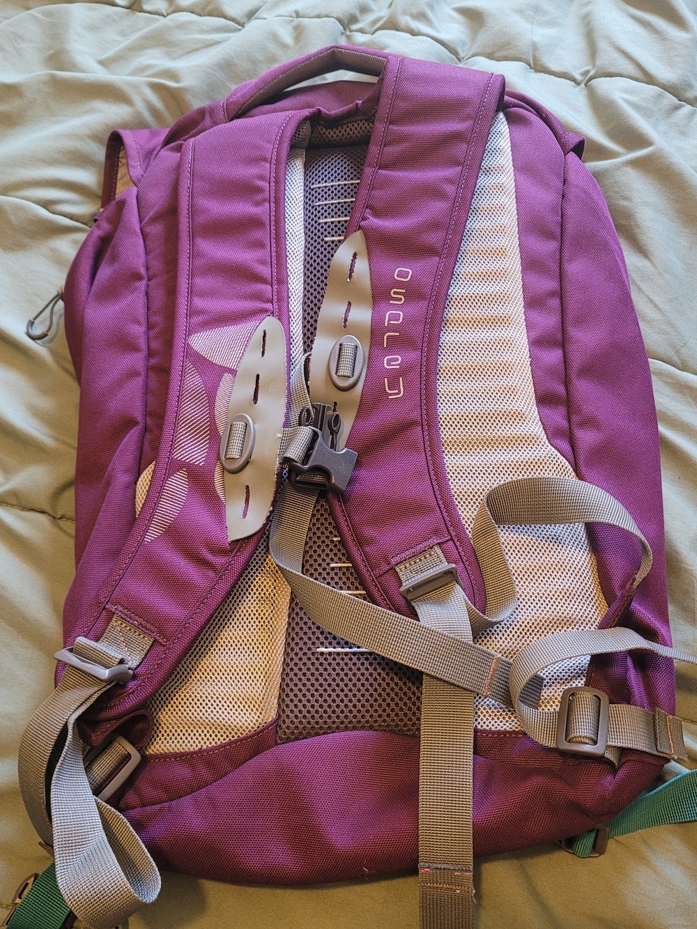 OSPREY Flap Jill Women's Purple Backpack with Teal Accents 20ltr Daybag Laptop - Picture 2 of 12